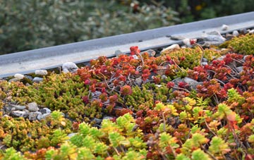the cost of Coire An Fhuarain green roof installation